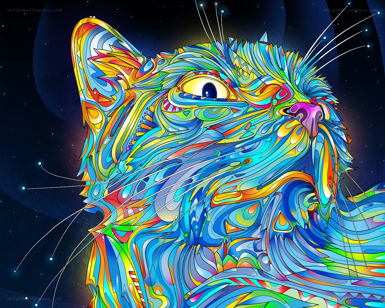 colorful cat in space