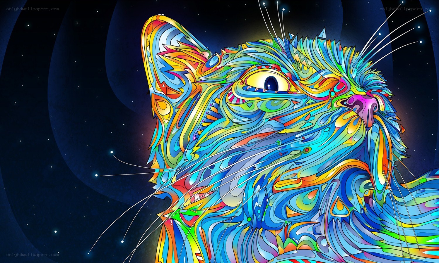 colorful cat in space