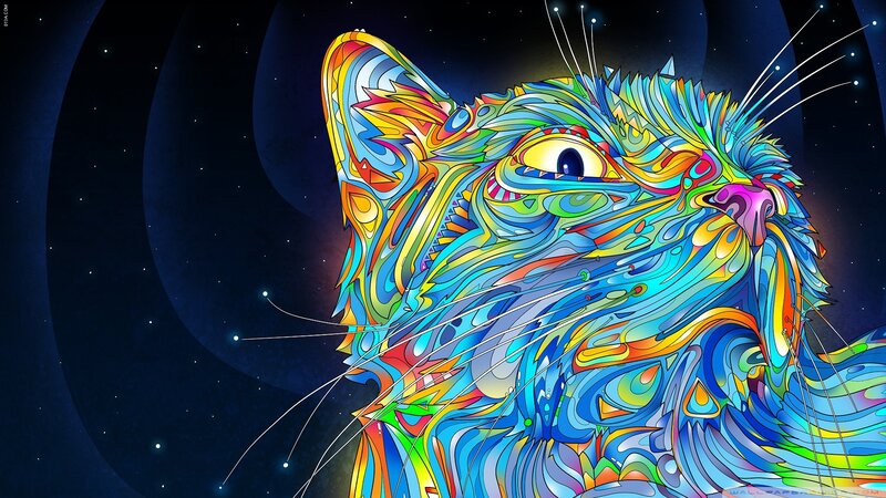 colorful cat in space