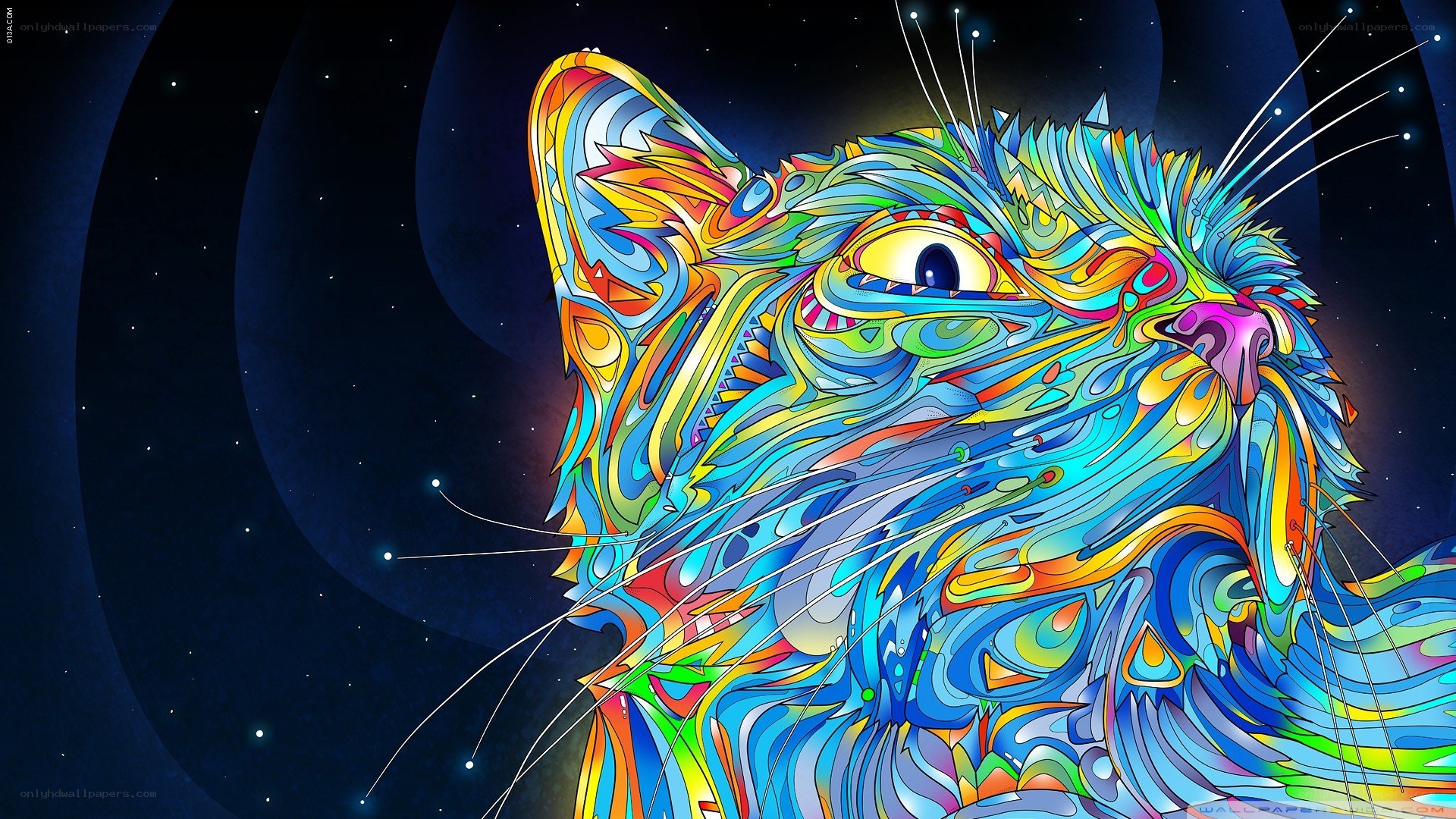 colorful cat in space