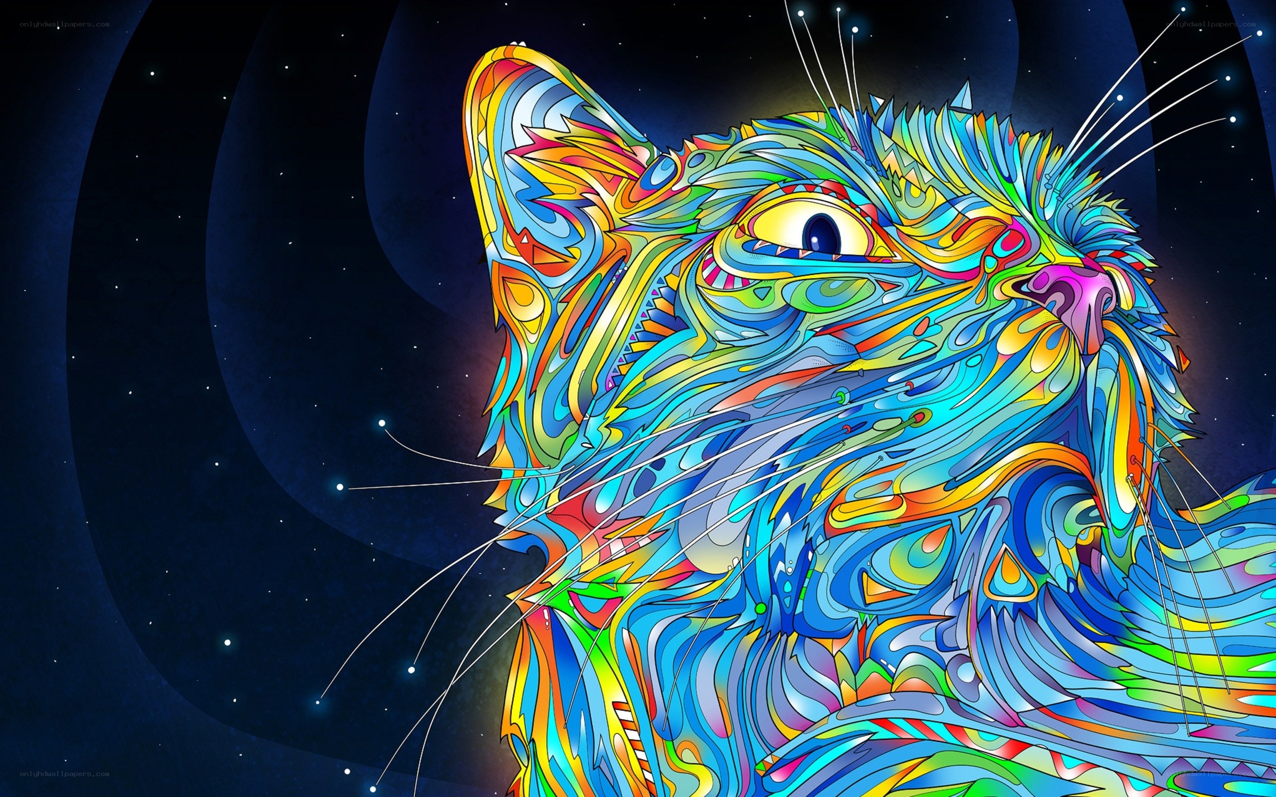 Colorful cat in space