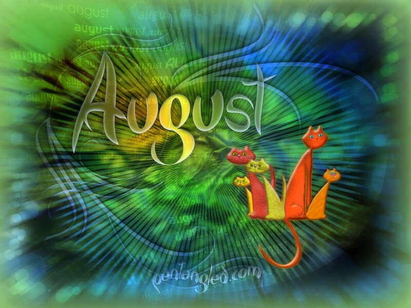 Colorful Cats in a Group