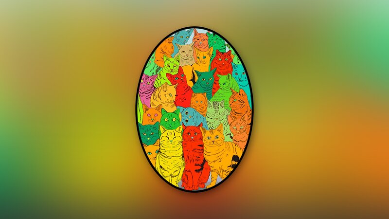 colorful cats in an oval