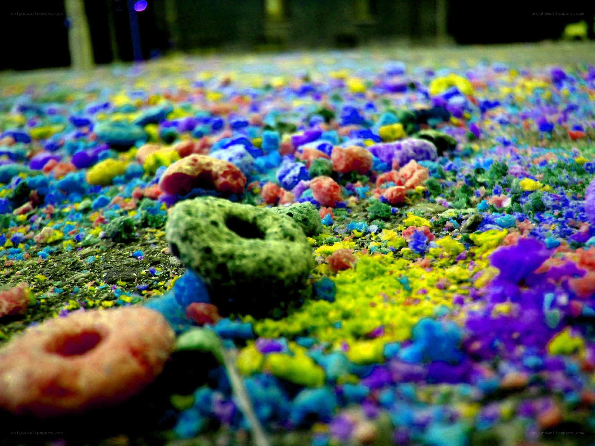 colorful cereal on ground