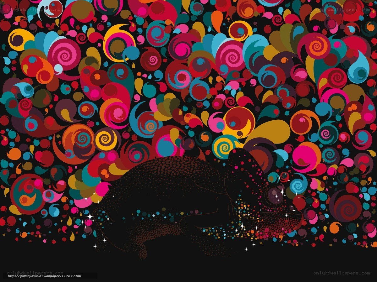 colorful chameleon abstract art