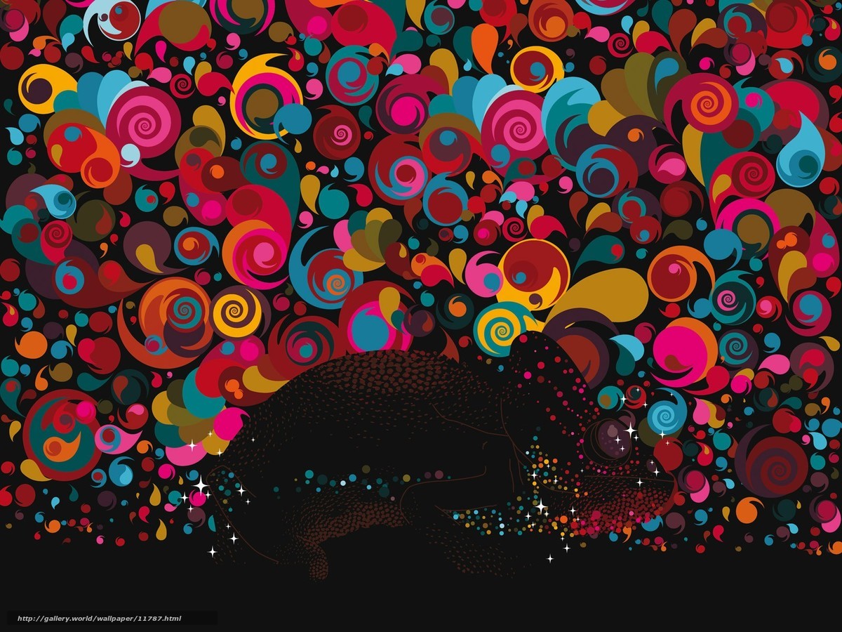 colorful chameleon abstract art
