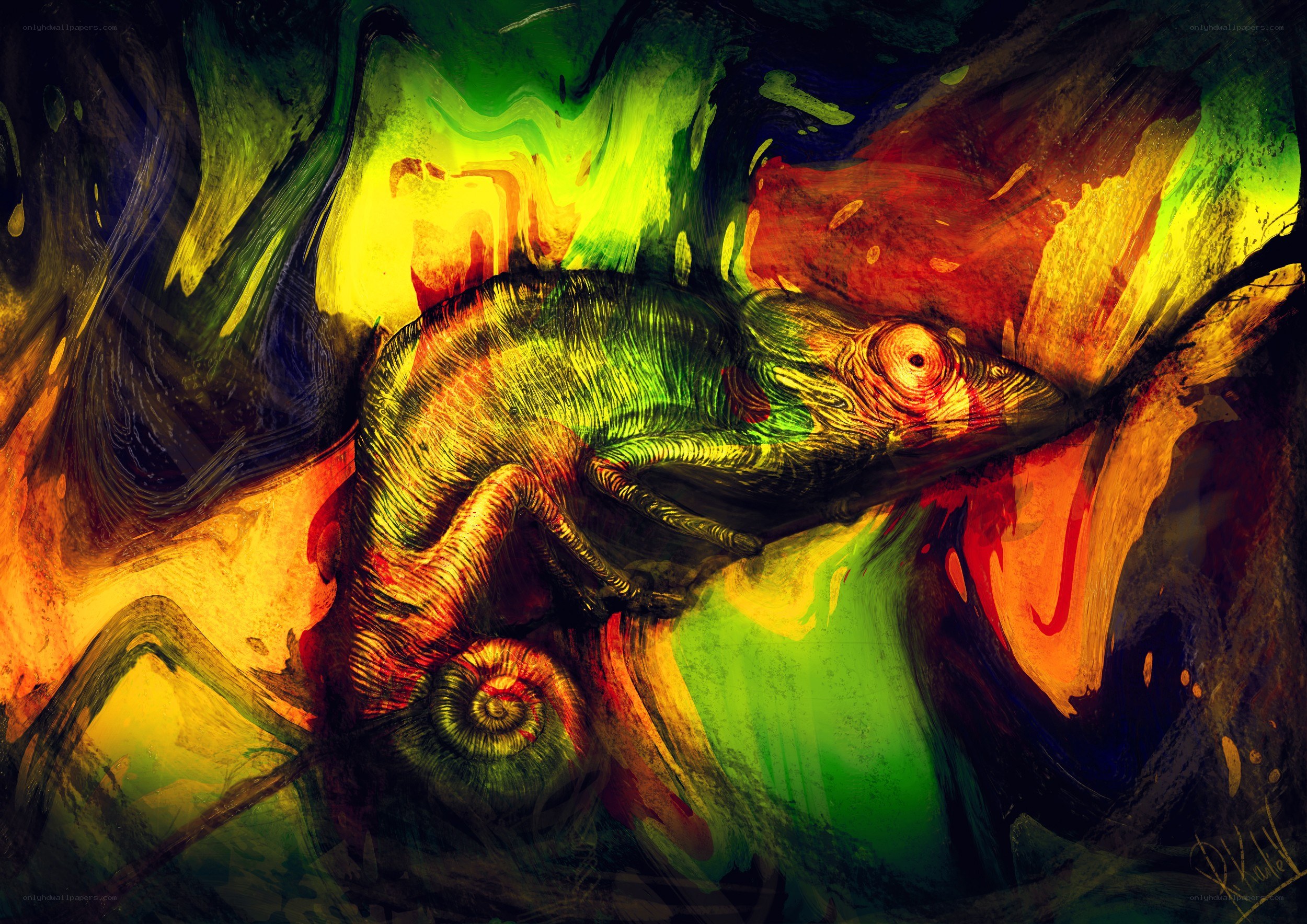 Colorful chameleon art