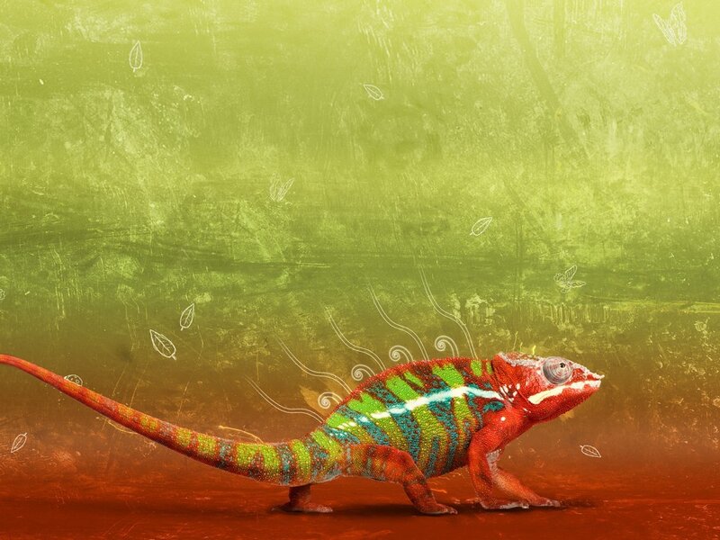 Colorful Chameleon — Green, Vibrant, Digital Art, Leaf, Butterfly, Red