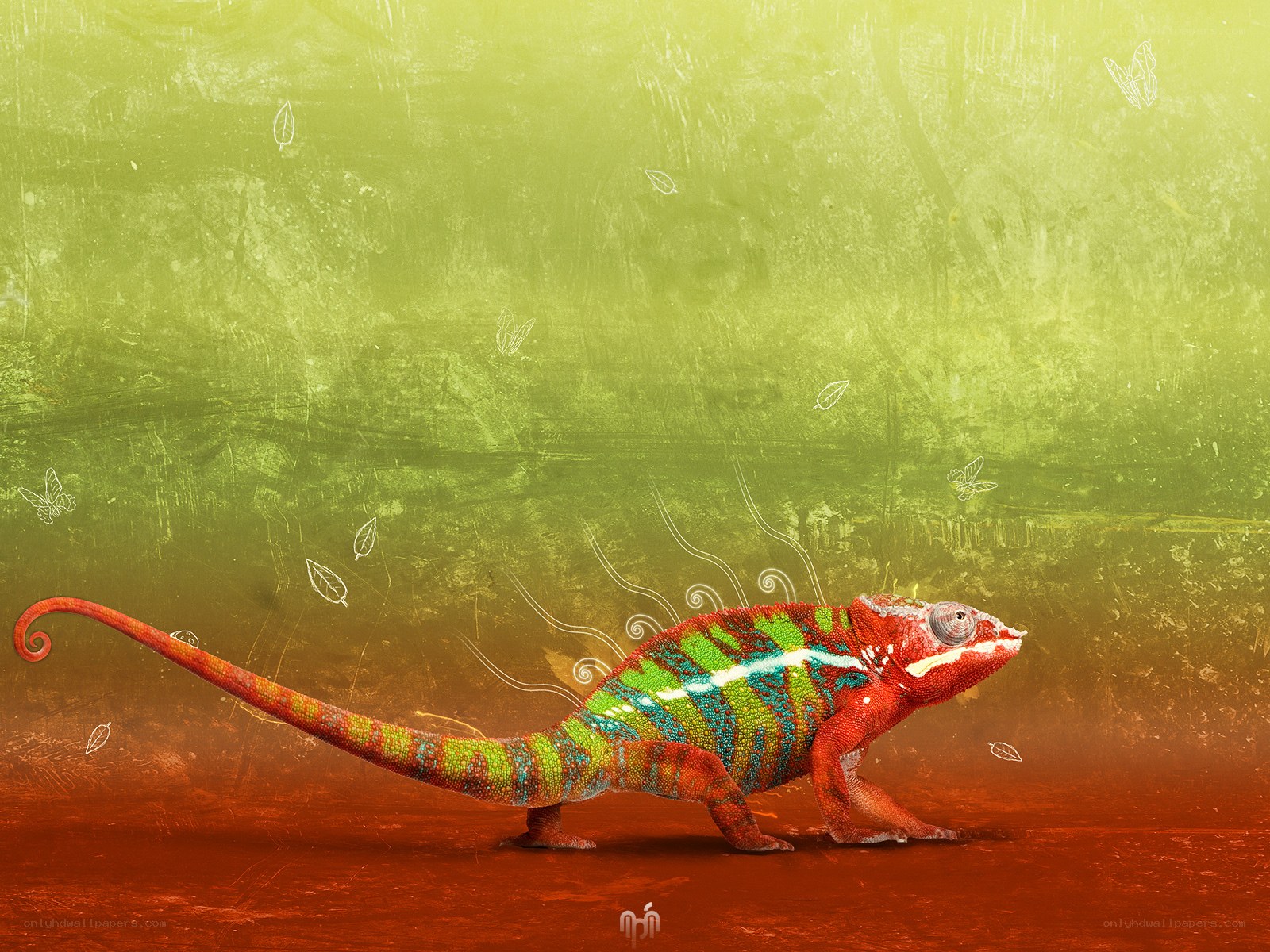 Colorful chameleon in vibrant setting