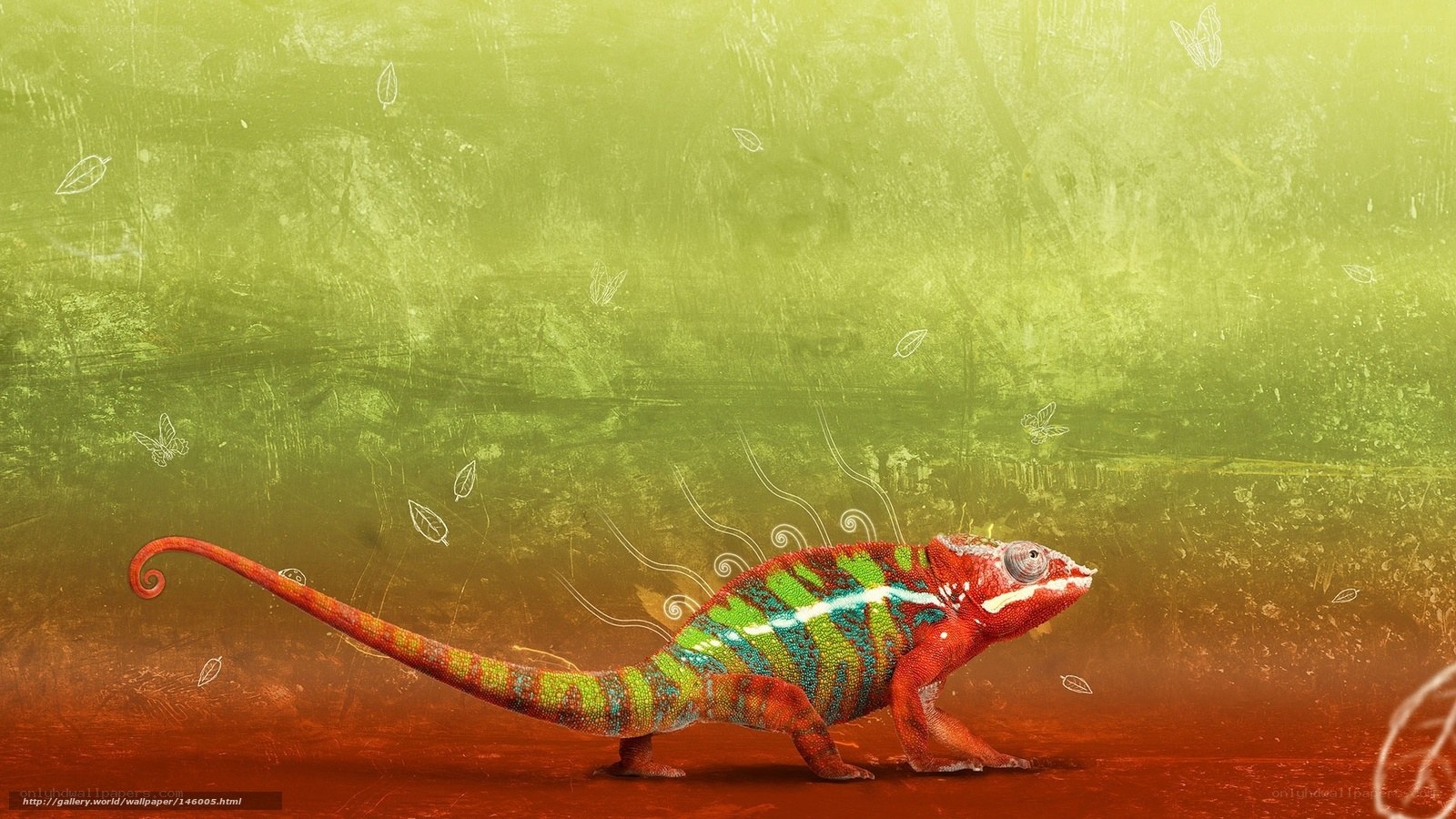 colorful chameleon on green background