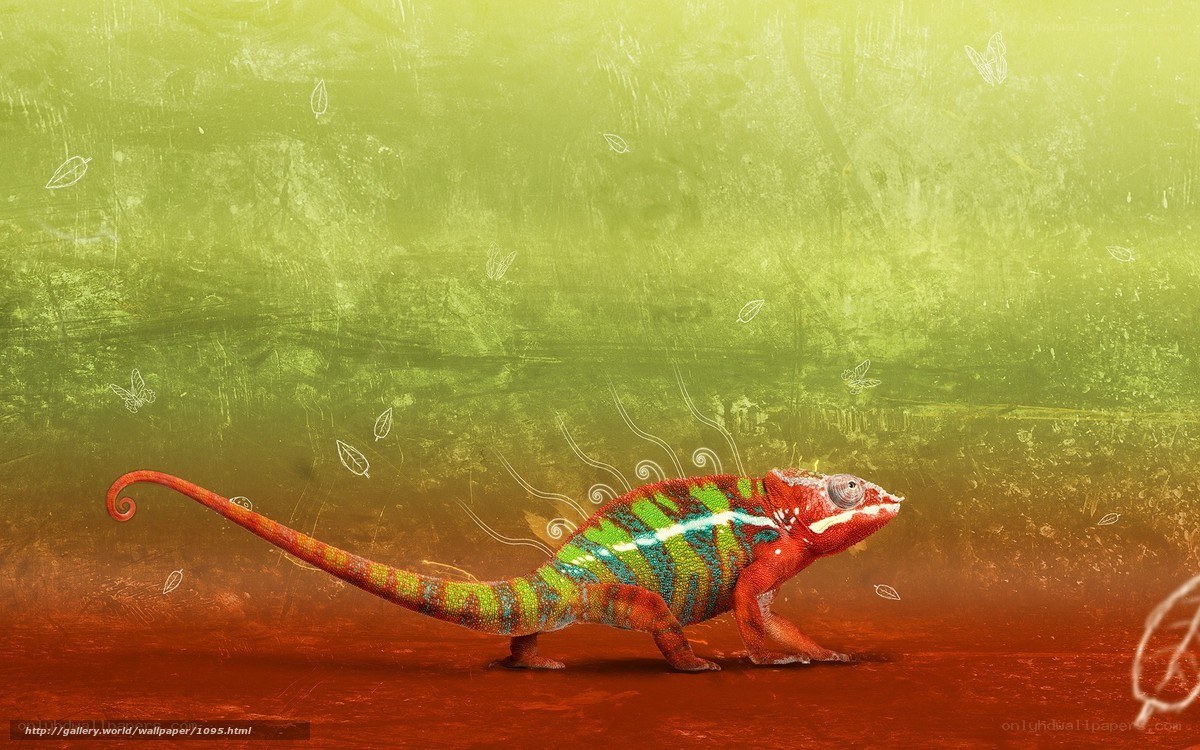 colorful chameleon on red ground