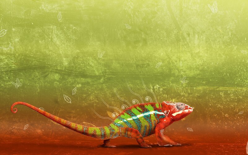 Colorful chameleon on textured background