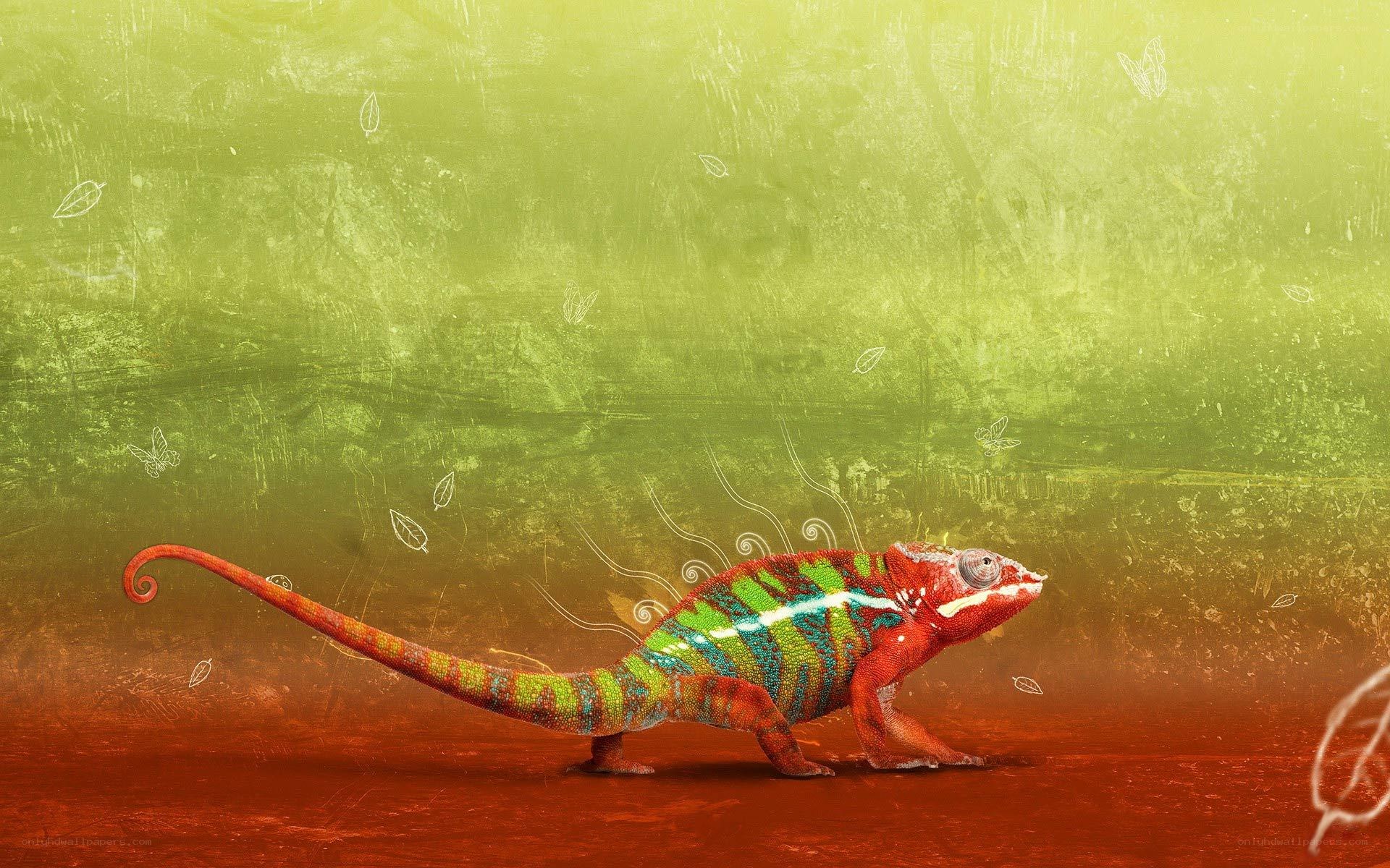 colorful chameleon on vibrant background