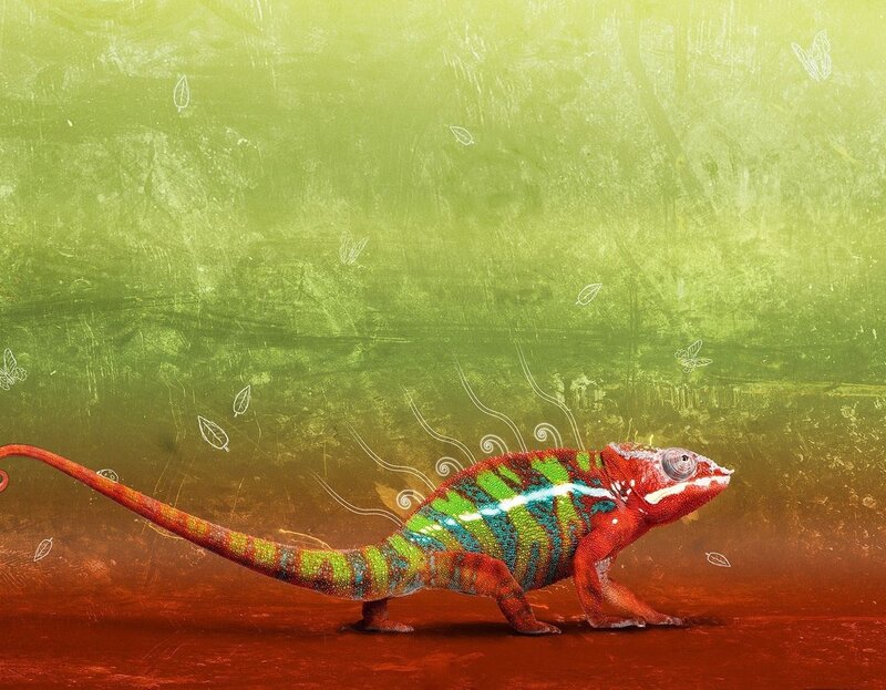 Colorful chameleon on vibrant background