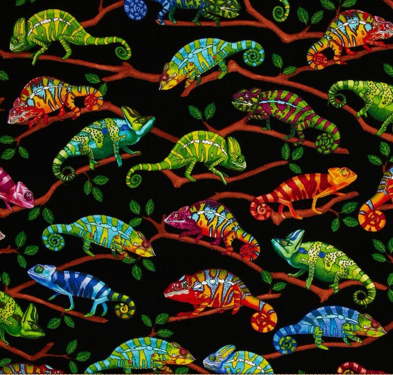Colorful Chameleons on Branches
