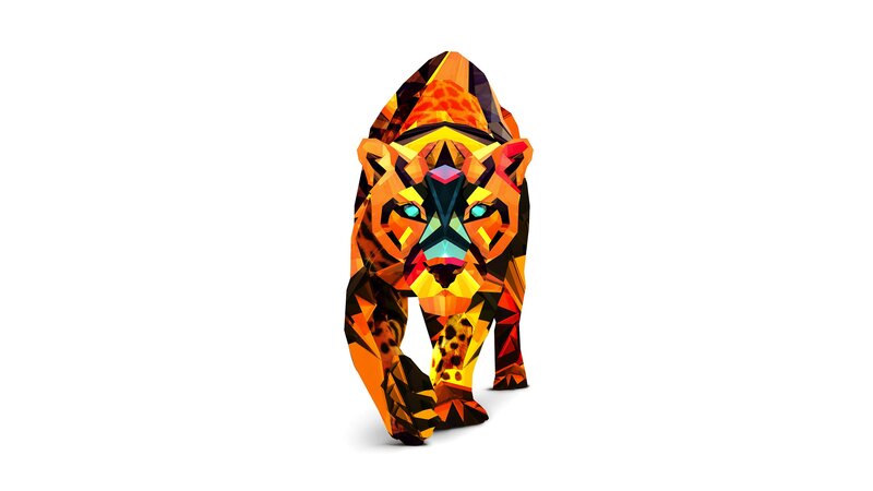 Colorful Cheetah Illustration