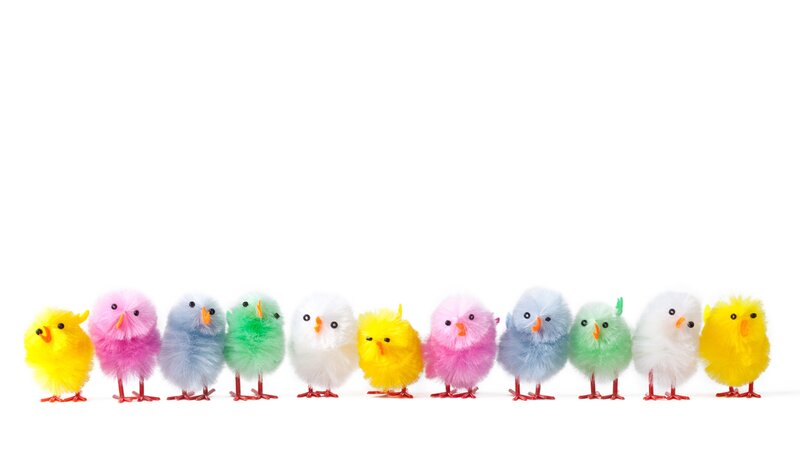 Colorful Chick Toys