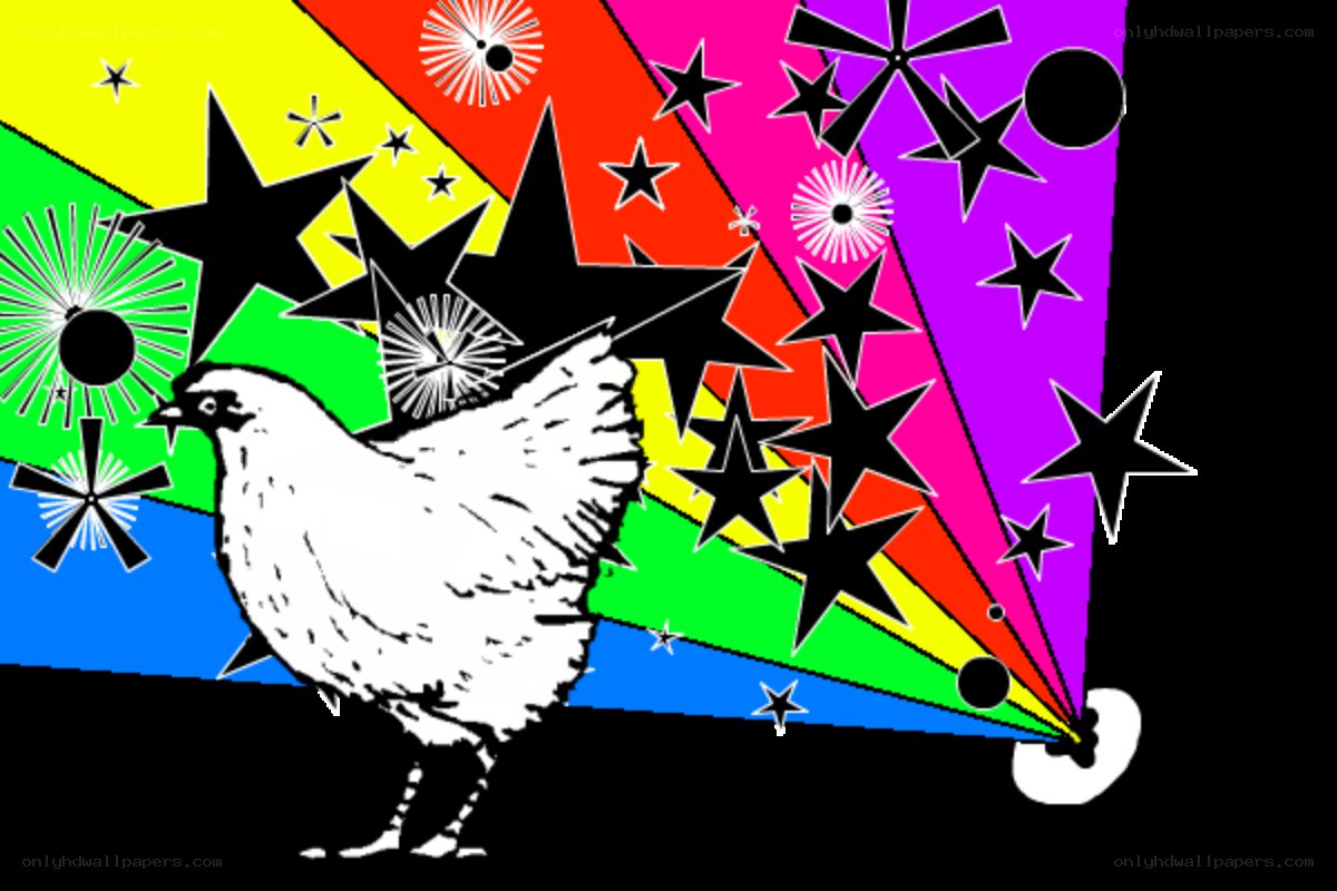 colorful chicken art
