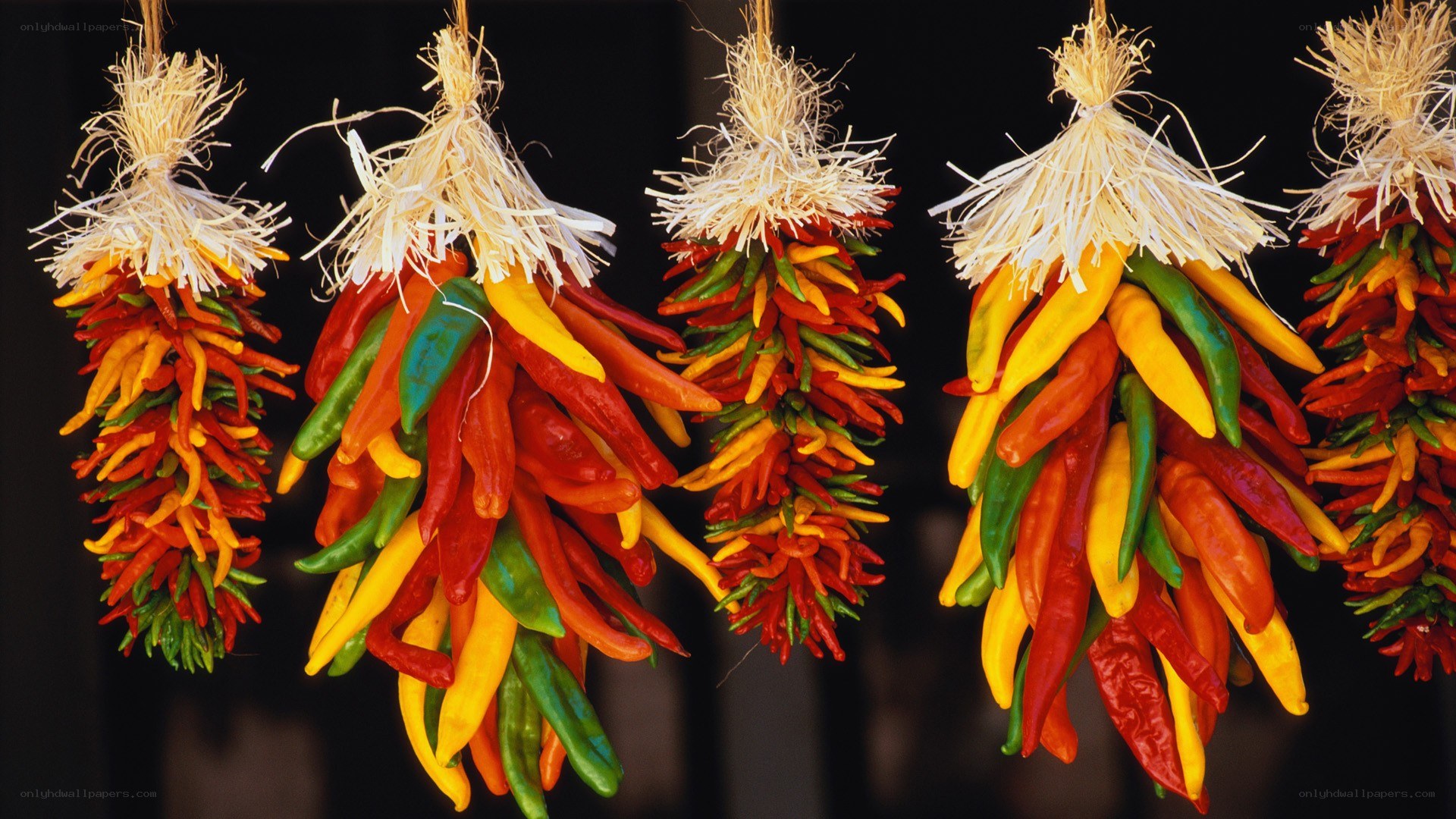 Colorful chili peppers hanging