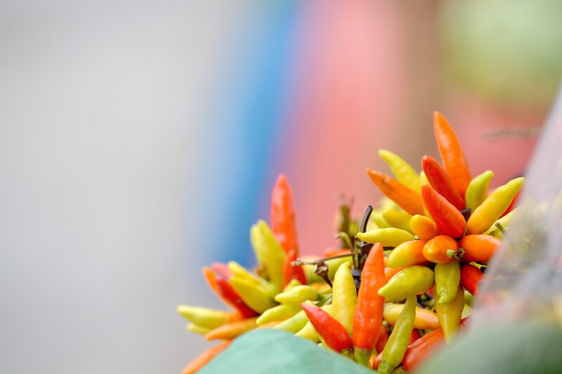 Colorful chili peppers in focus