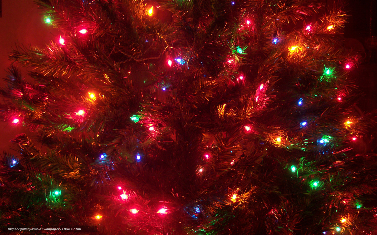colorful christmas lights