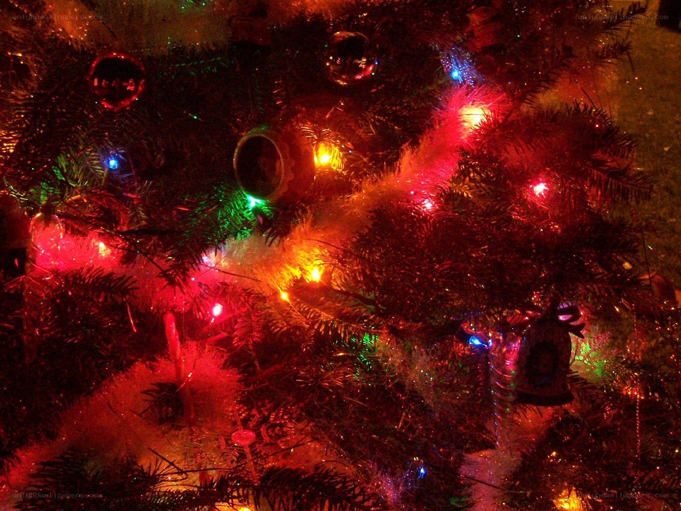 colorful christmas tree lights