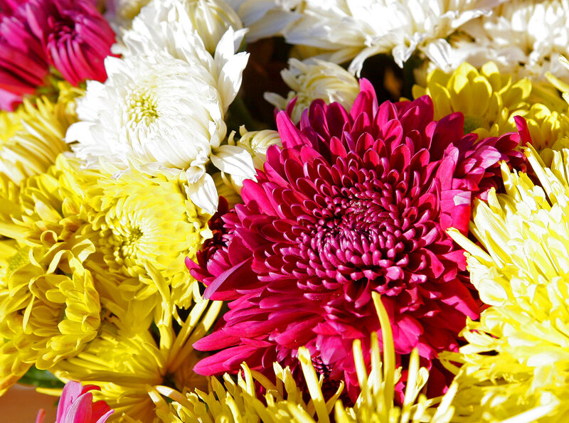 Colorful chrysanthemum bouquet