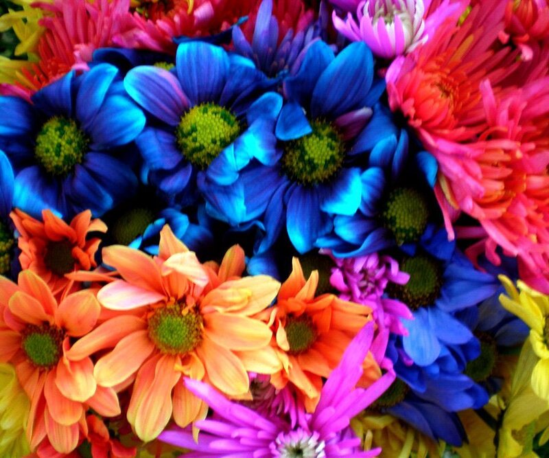 Colorful Chrysanthemum Bouquet — Blue