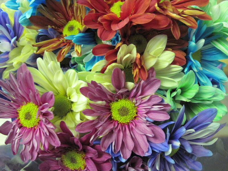 Colorful Chrysanthemum Bouquet — Purple, Vibrant