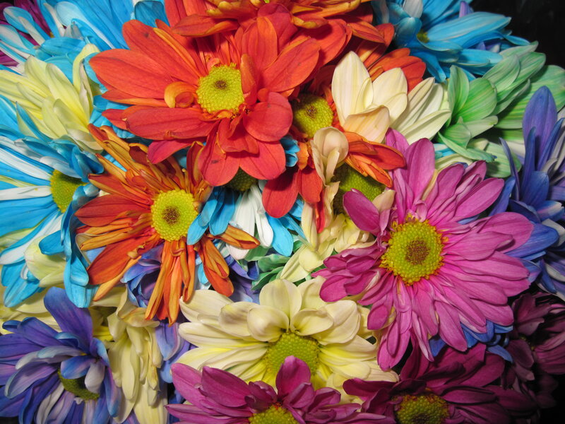 Colorful Chrysanthemum Bouquet — Red