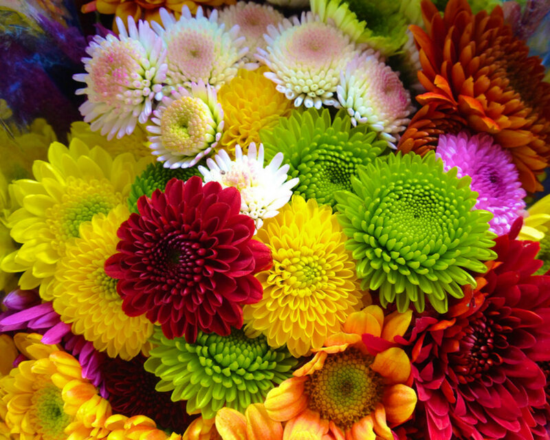 Colorful Chrysanthemum Bouquet — Yellow, Vibrant, Photograph