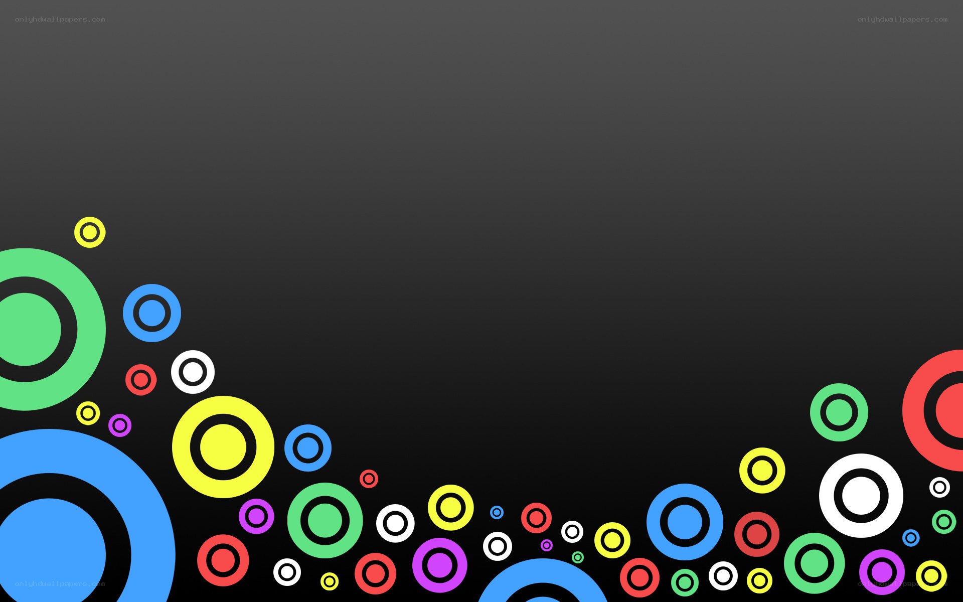 colorful circles on black