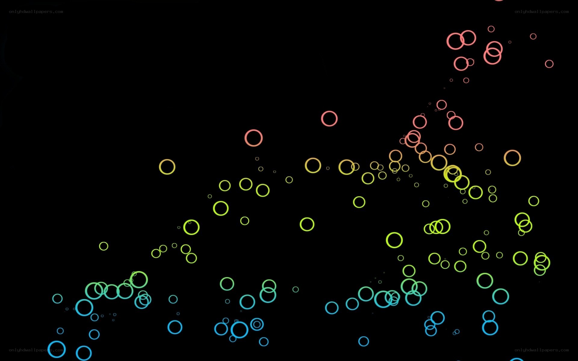colorful circles on black