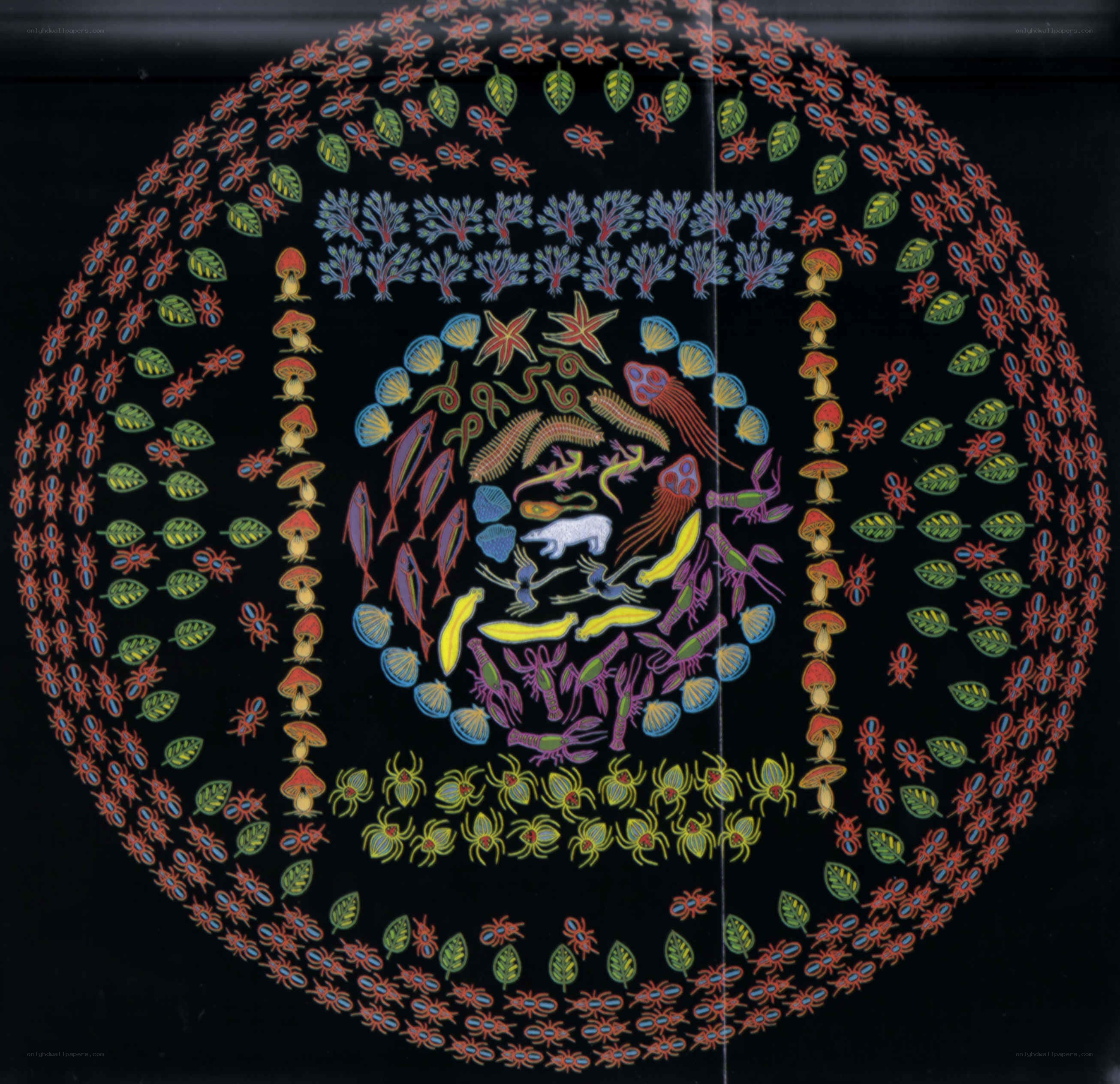 colorful circular mandala