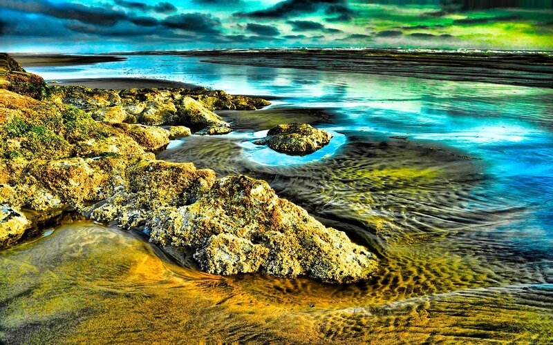 Colorful coastal rocks at low tide