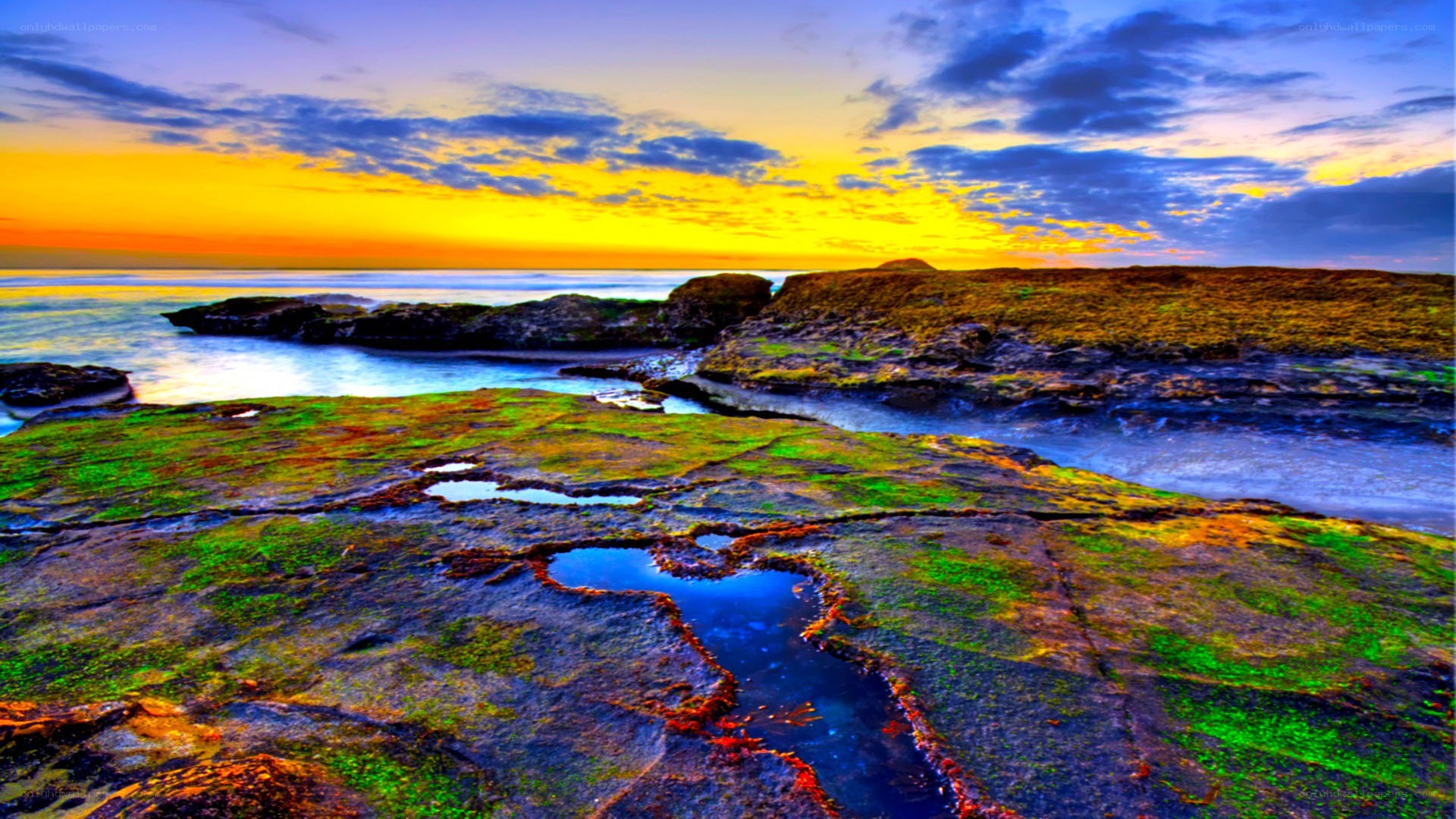 Colorful coastal sunset scene