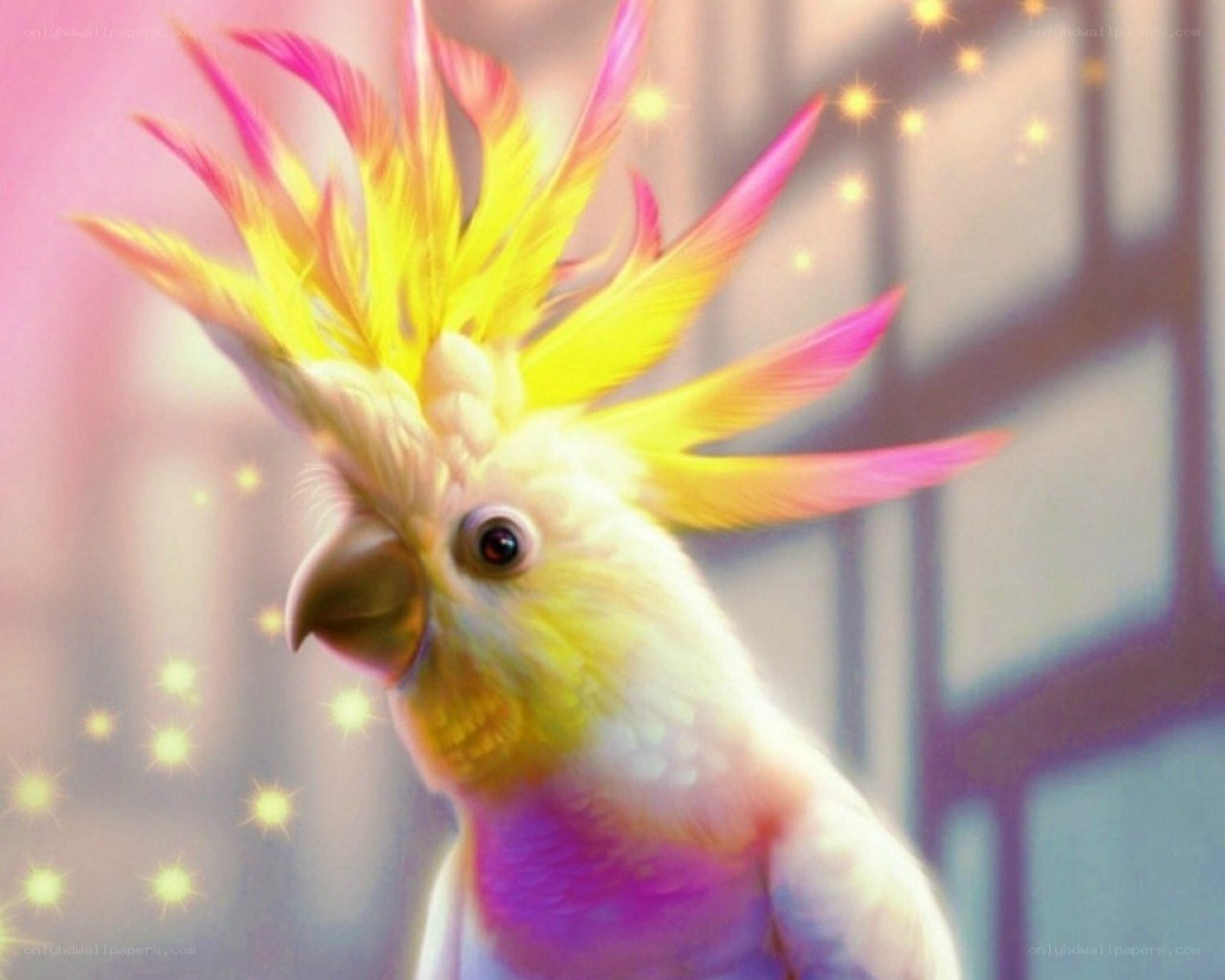 colorful cockatoo with crest