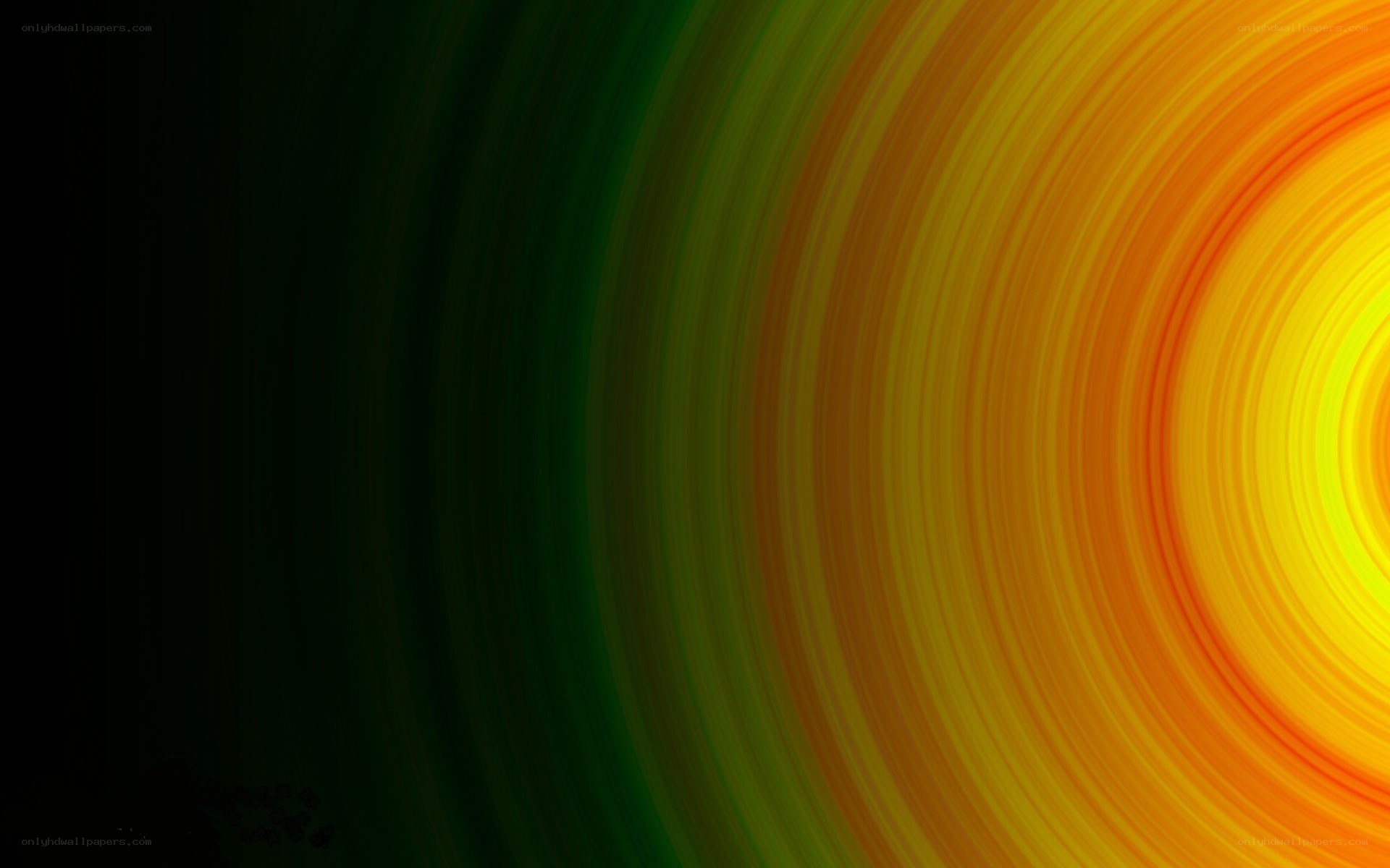 Colorful concentric rings