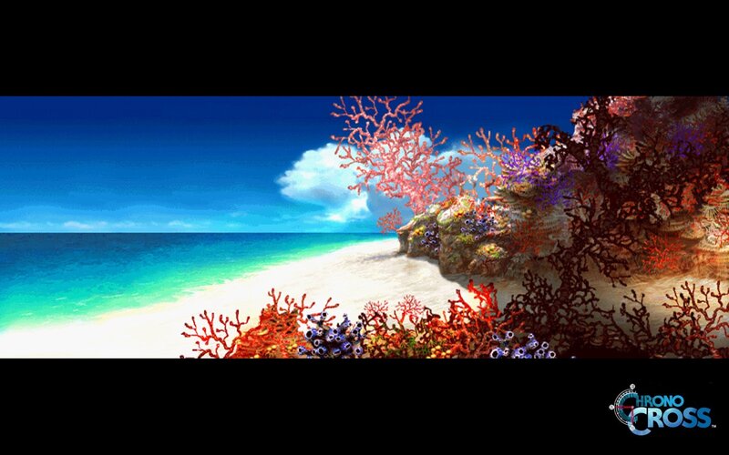 colorful coral beach scene