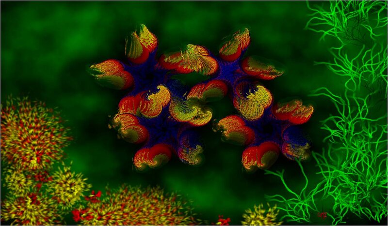 Colorful Coral Formations