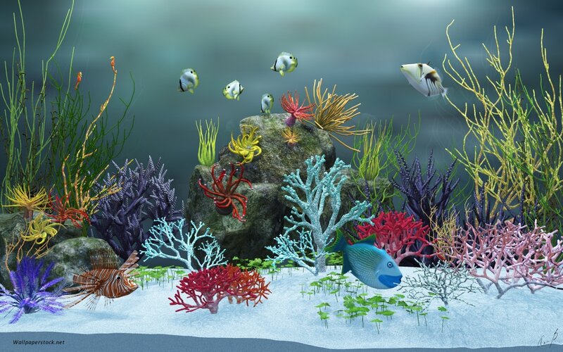 Colorful Coral Reef — Blue, Serene