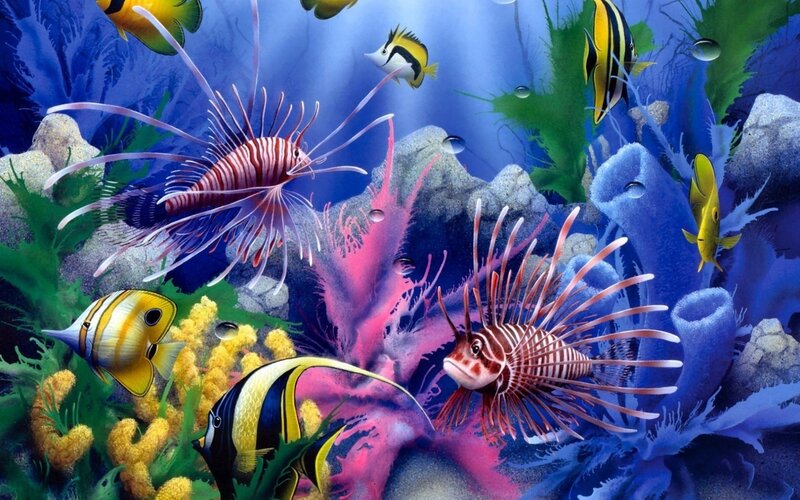 Colorful coral reef scene