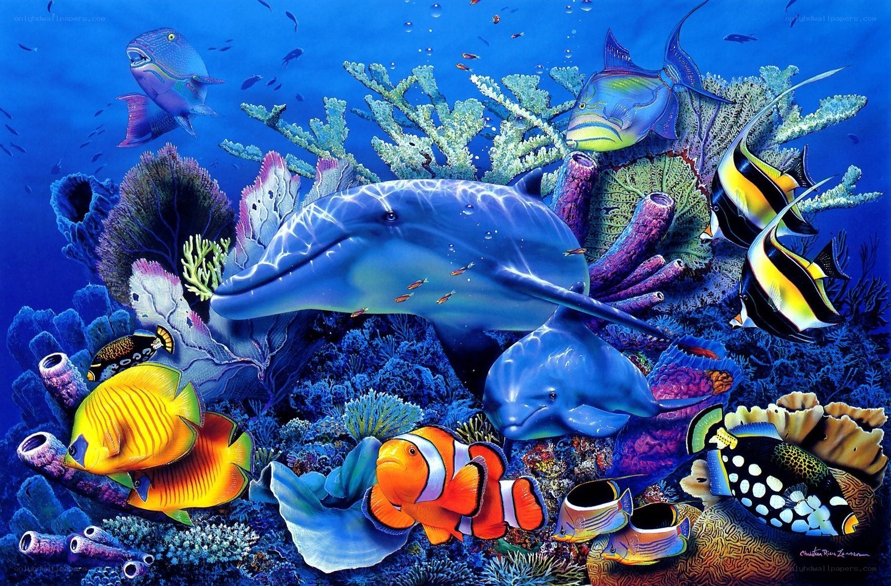 Colorful coral reef scene