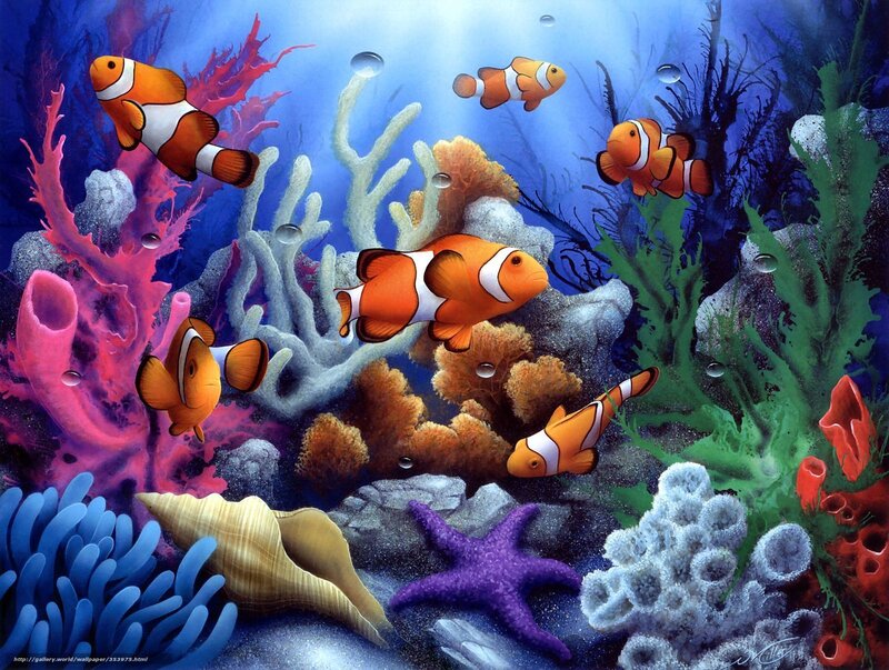 Colorful coral reef scene