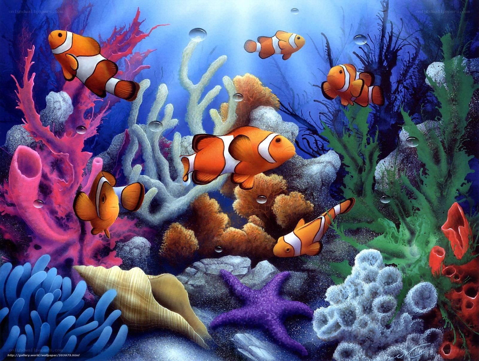 Colorful coral reef scene