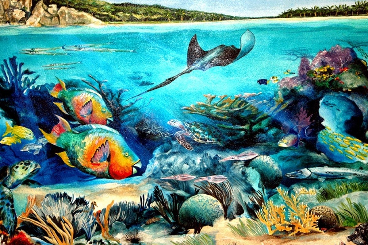 Colorful coral reef scene
