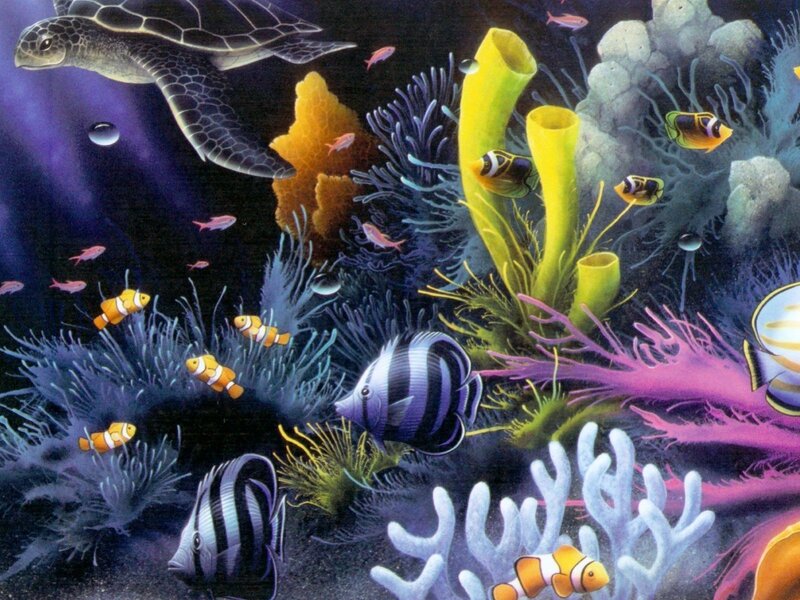 Colorful coral reef scene