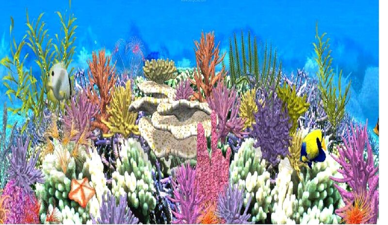 colorful coral reef scene