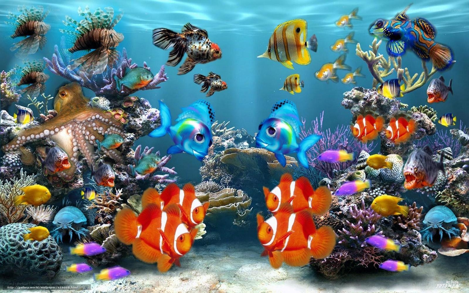 Colorful coral reef scene