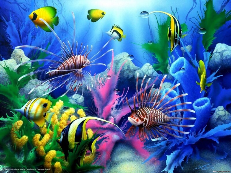 Colorful coral reef scene